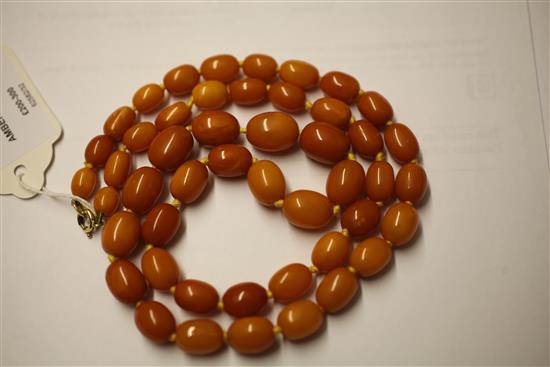 A single strand graduated amber bead necklace, 27in.